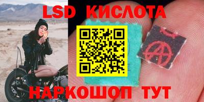 шишки Изобильный