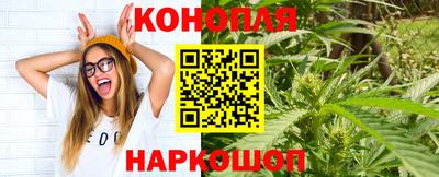 шишки Изобильный