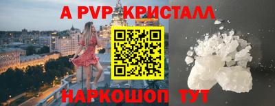 шишки Изобильный