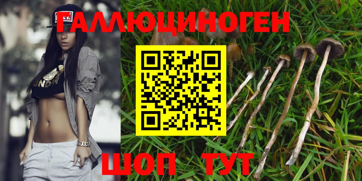 Псилоцибиновые грибы мицелий Лангепас
